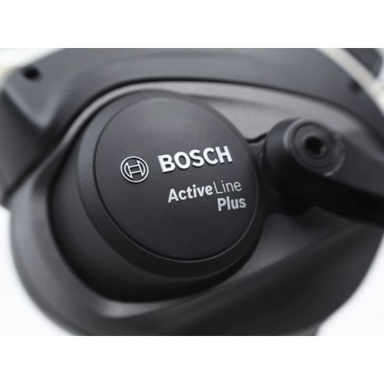 ELECTRA TOWNIE GO! 5i BOSCH ACTIVE PLUS GREEN TEA CADRE BAS