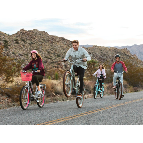 ELECTRA TOWNIE GO! 5i BOSCH ACTIVE PLUS BLEU GLACIER CADRE BAS