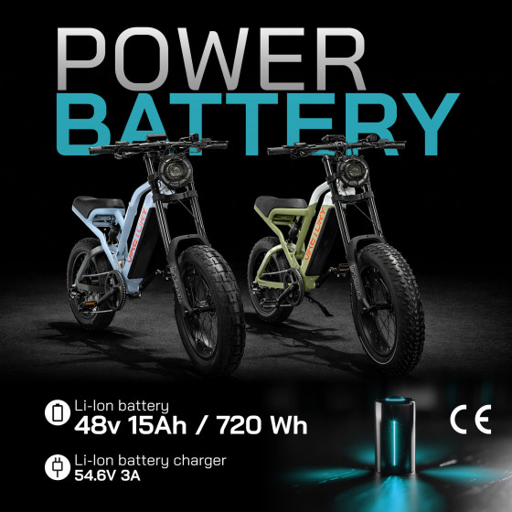 VIKETORY FAT BIKE COMMANDO