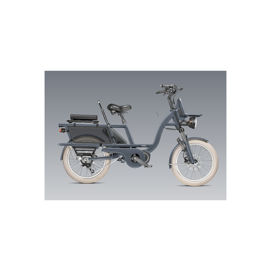 GAYA, L'INCROYABLE, LE COURT, MOKA, KIT ENFANT, POIGNEE, BATTERIE +