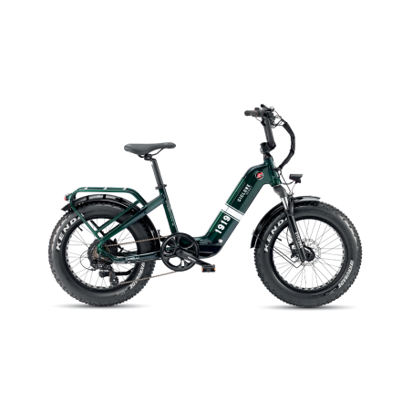 GARELLI E BIKE SCOUT CICLONE EDITION