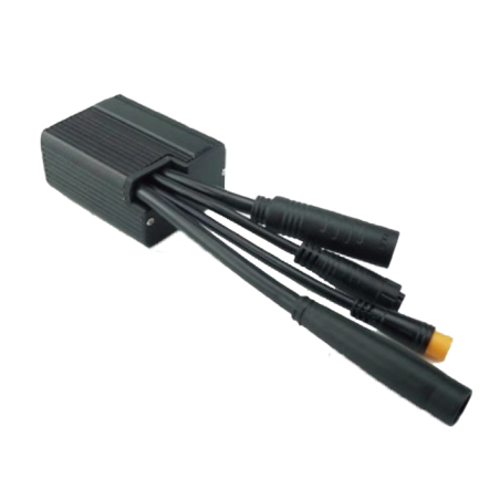 CONTROLEUR POUR GARELLI CICLONE CLOUD DRIVE CDD11