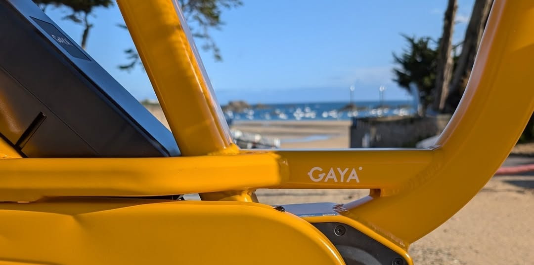 GAYA VELOS CARGO ELECTRIQUES